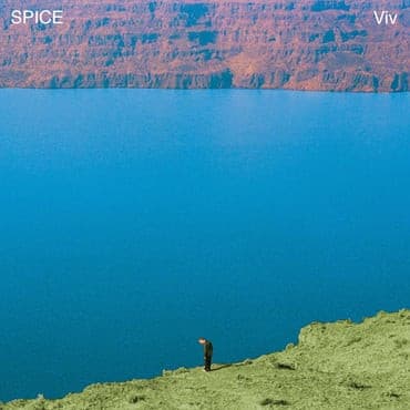 Spice (46) - Viv (LP, Album, Ltd, Ora)